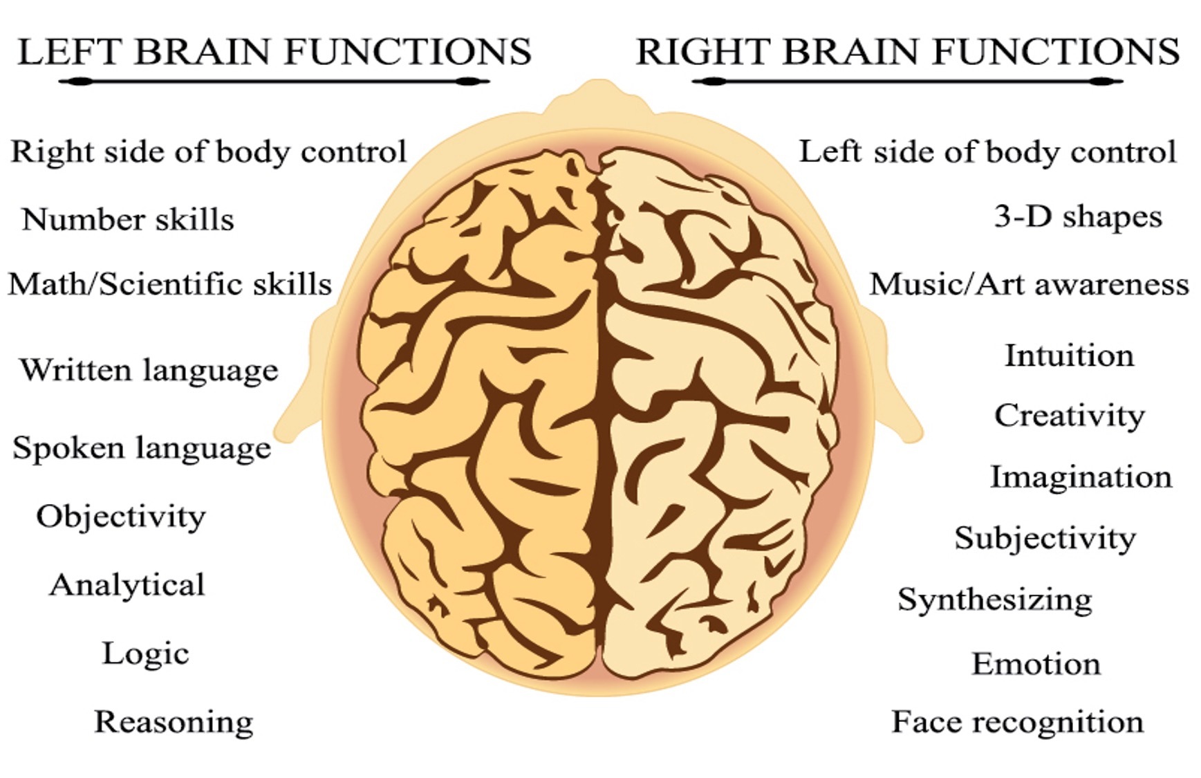 Symptoms and Complications of Left-Side Brain Damage