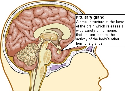 Cold After Traumatic Brain Injury