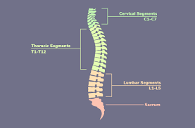 What is Incomplete Quadriplegia