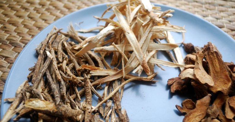 Assorted chinese traditional medicine herbs on a plate. Fang feng, bai zhu, huang qi roots sliced and dried.